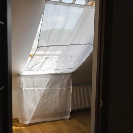 Recreation Complex Sunny * Polyana (Transcarpathia)