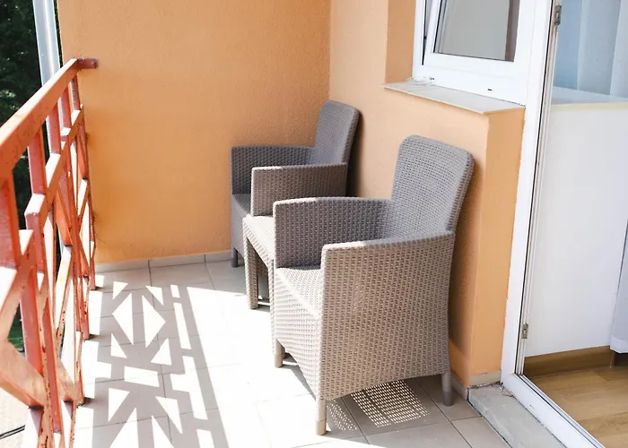 度假村 Recreation Complex Sunny